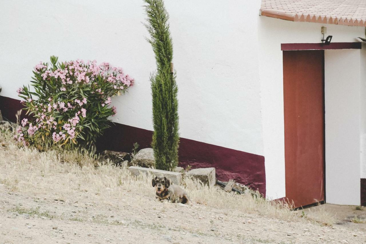 Casas Da Faia - Nature Guest House Arronches Εξωτερικό φωτογραφία